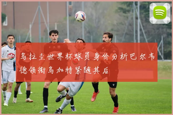 乌拉圭世界杯球员身价分析巴尔韦德领衔乌加特紧随其后